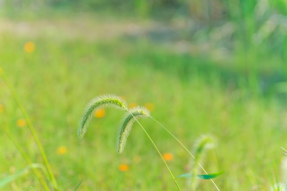 配图源自 Freepik