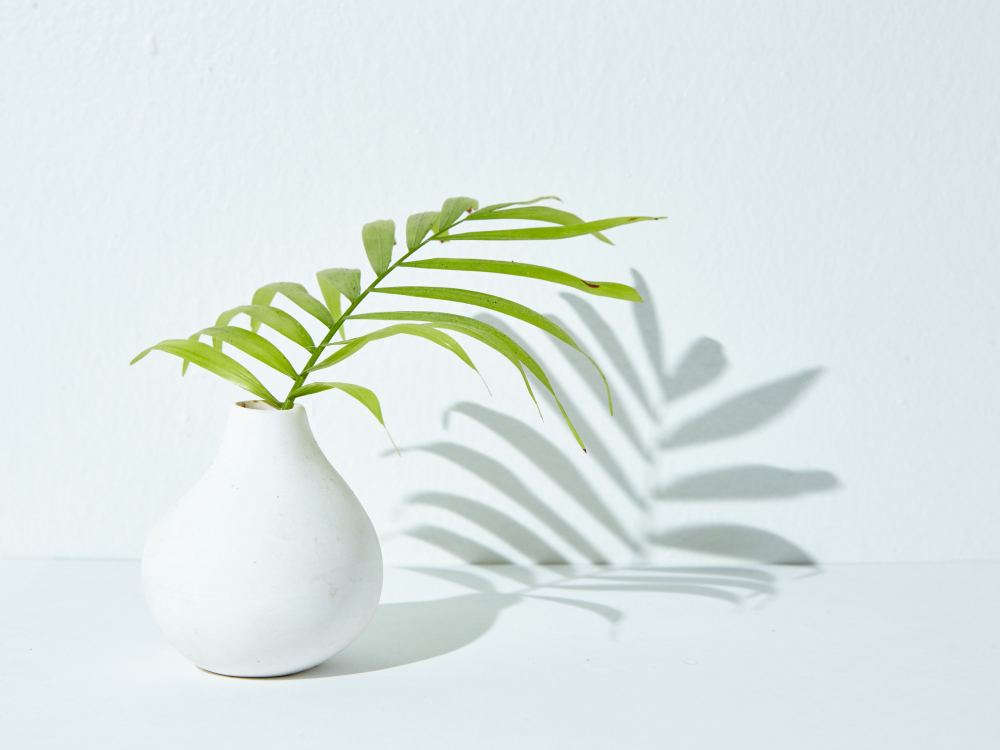 配图源自 Freepik