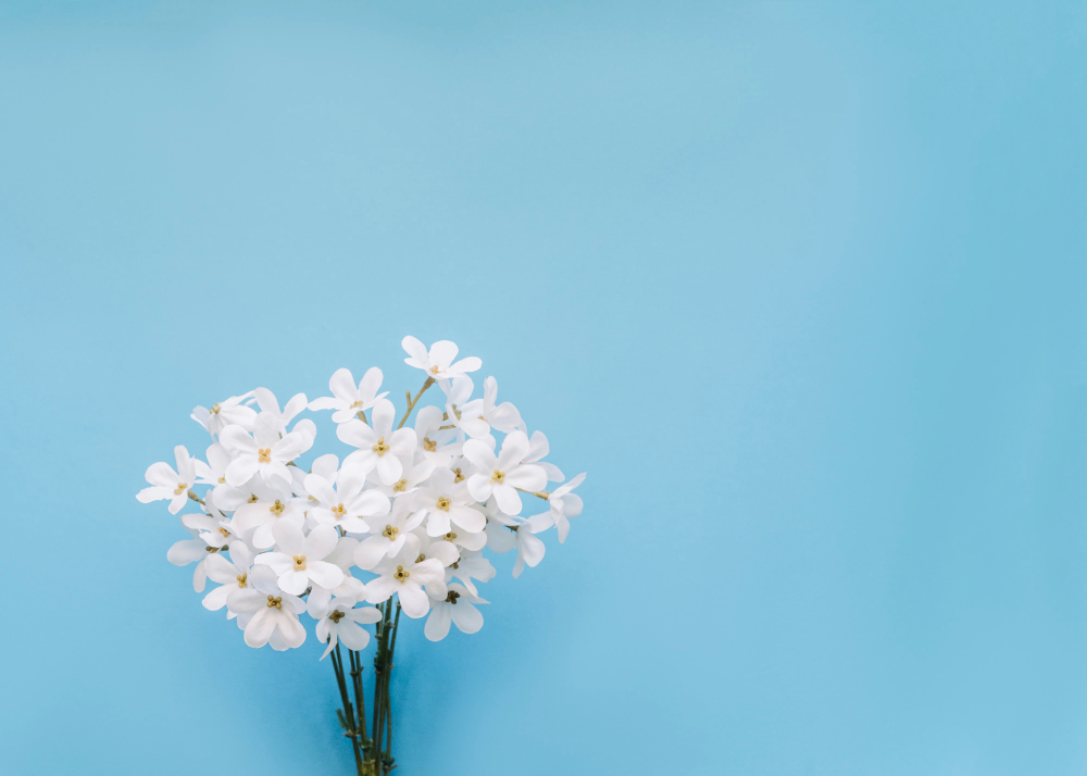 配图源自 Freepik