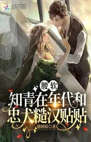 Bìa truyện Eo Mềm Tri Thức Trẻ Tại Niên Đại Cùng Trung Khuyển Cẩu Thả Hán Thiếp Thiếp thể loại Ngôn Tình