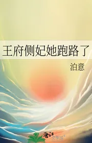 Vương Phủ Trắc Phi Nàng Đi Đường