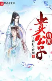 Bìa truyện Đường Triêu Quý Công Tử thể loại Lich Sử Quân Sự