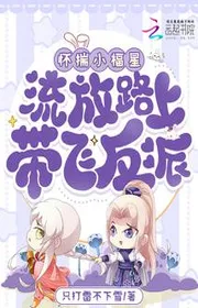 Bìa truyện Giấu Trong Lòng Tiểu Phúc Tinh, Lưu Vong Trên Đường Mang Bay Nhân Vật Phản Diện thể loại Ngôn Tình