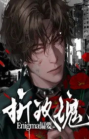 Book cover of Enigmathiên Yếu Chiết Mân Côi