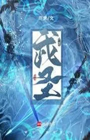 Book cover of Vũ Thánh!