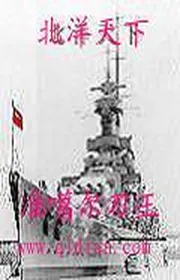 Book cover of Bắc Dương Thiên Hạ