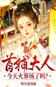 Bìa truyện Thủ Phụ Đại Nhân Hôm Nay Hỏa Táng Tràng Sao? thể loại Ngôn Tình