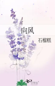 Hướng Gió