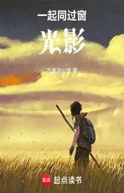 Bìa truyện Cùng Nhau Cùng Qua Cửa Sổ: Quang Ảnh thể loại Light Novel