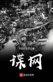 Book cover of Điệp Võng