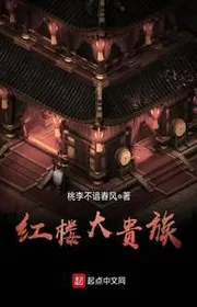 Book cover of Hồng Lâu Đại Quý Tộc