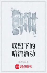 Bìa truyện Liên Minh Hạ Đích Ám Lưu Dũng Động thể loại Lich Sử Quân Sự