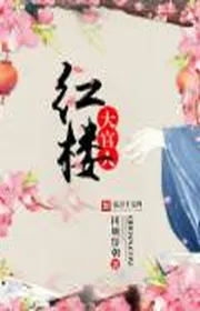 Book cover of Hồng Lâu Đại Quan Nhân