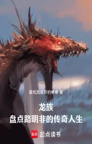 Bìa truyện Long Tộc: Kiểm Kê Lộ Minh Phi Huyền Thoại Cuộc Đời thể loại Light Novel