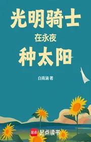 Book cover of Quang Minh Kỵ Sĩ Tại Vĩnh Dạ Loại Thái Dương
