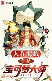 Bìa truyện Người Tại Hải Tặc, Đãn Thị Pokemon Đại Sư thể loại Light Novel