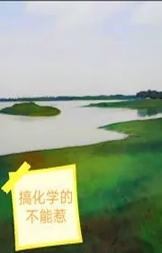 Book cover of Cảo Hóa Học Đích Bất Năng Nhạ