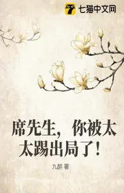 Bìa truyện Tiên Sinh Tịch, Ngươi Bị Phu Nhân Đá Ra Khỏi Cục! thể loại Ngôn Tình