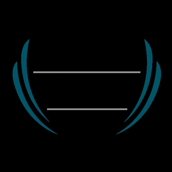 Networking Professional