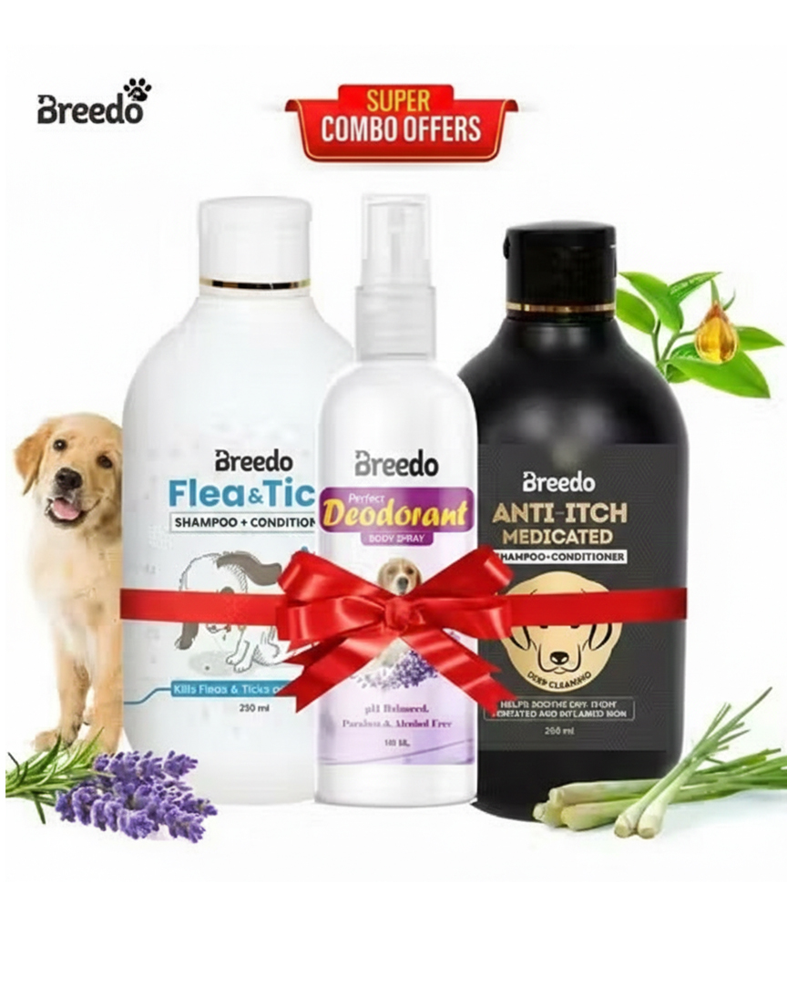 Unique Shampoos & Conditioners for Pets