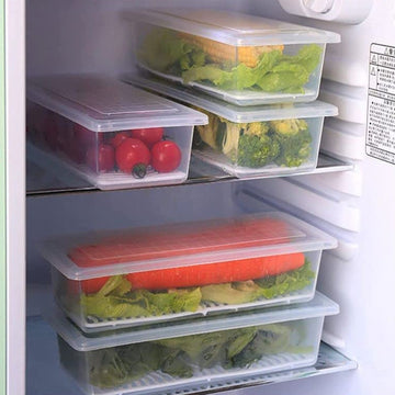 Vegetables & Fruits Freezer Storage Container (PACK OF 6PC 1500ML) - Zalgea