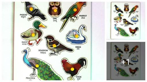 ADYA COLLECTION WOODEN PUZZLE BIRD TRAY BOARD WITH PICTURES (color may vary )
