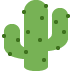 🌵 🌵
