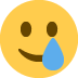 Smiling face with tear :smiling_face_with_tear: 🥲