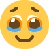 Face holding back tears :face_holding_back_tears: 🥹