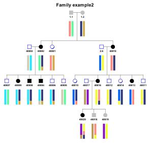 haplopainter-example2_thumb