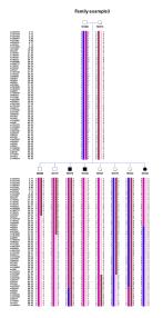 haplopainter-example3_thumb