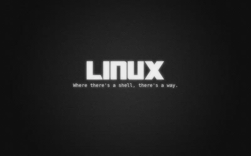 Linux 常用命令汇总（持续更新）