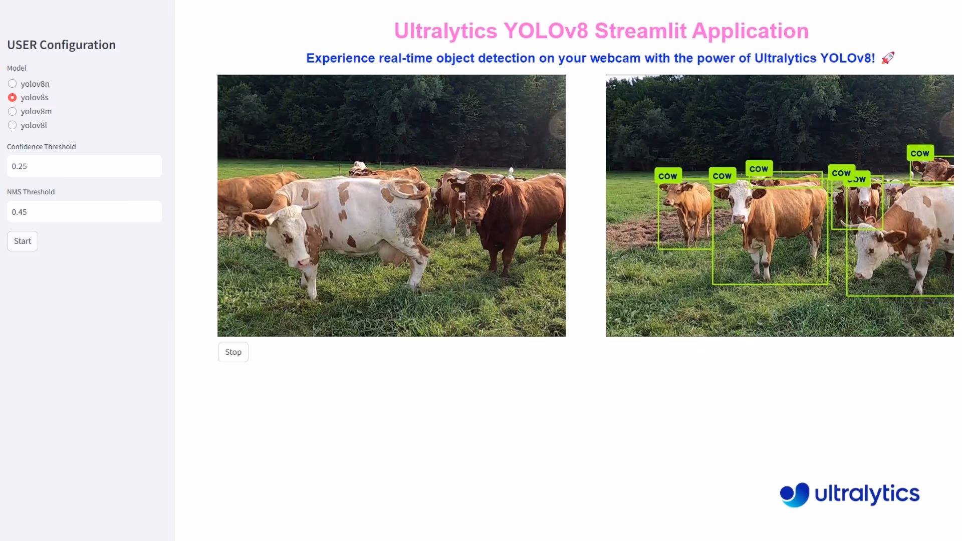 Detecção de Animais usando Ultralytics YOLO26