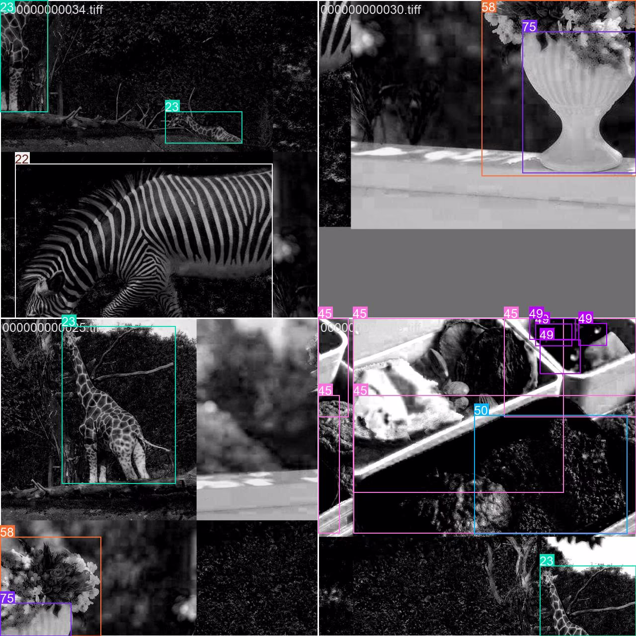 Lote de entrenamiento de mosaico de conjunto de datos COCO8