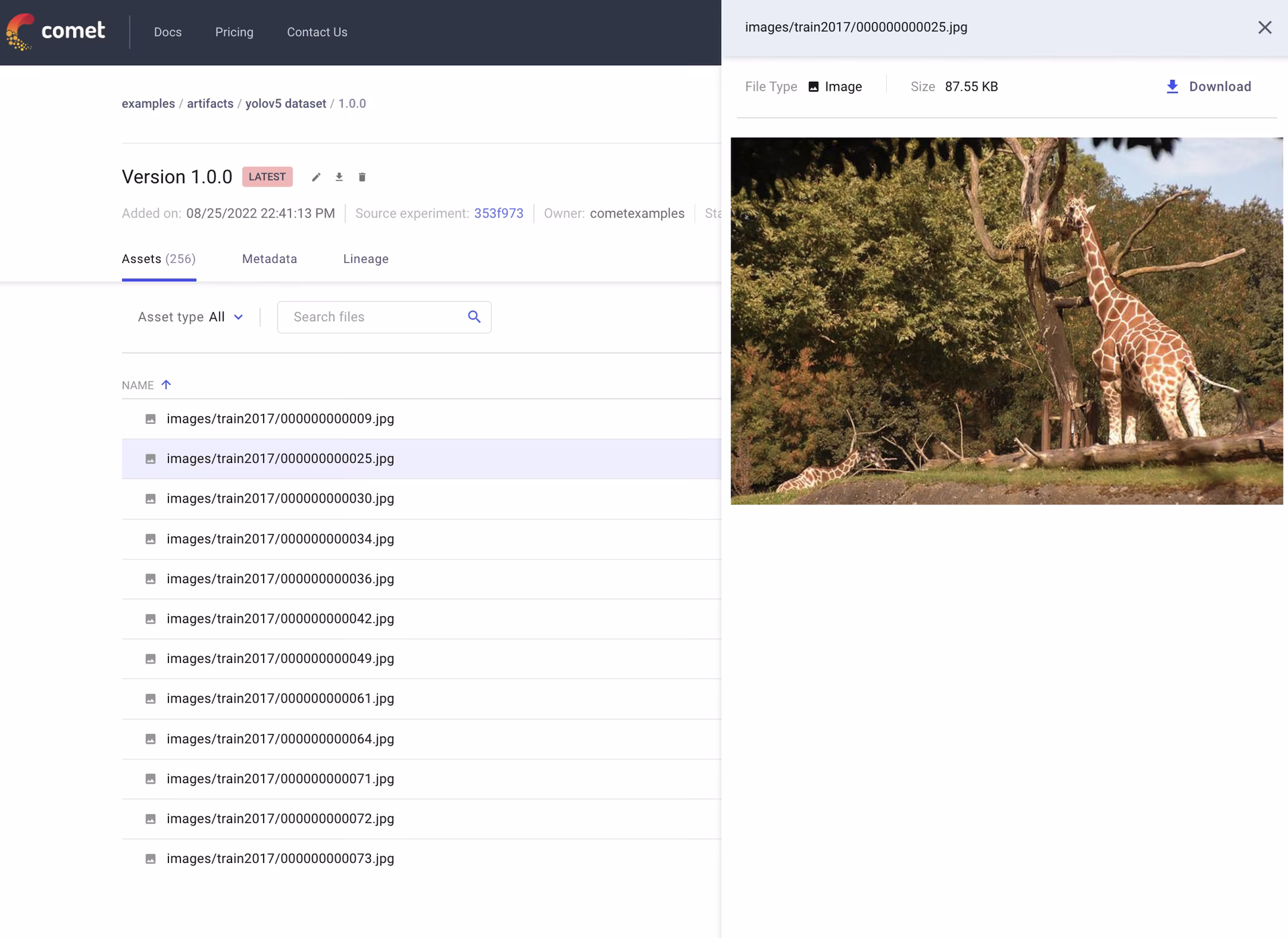 Comet 预览与版本历史