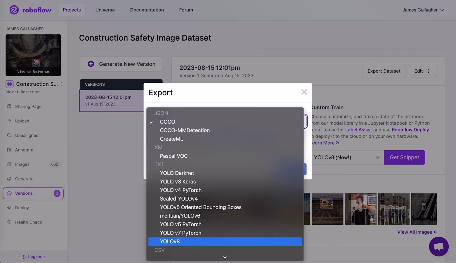 Esportazione Roboflow in YOLO