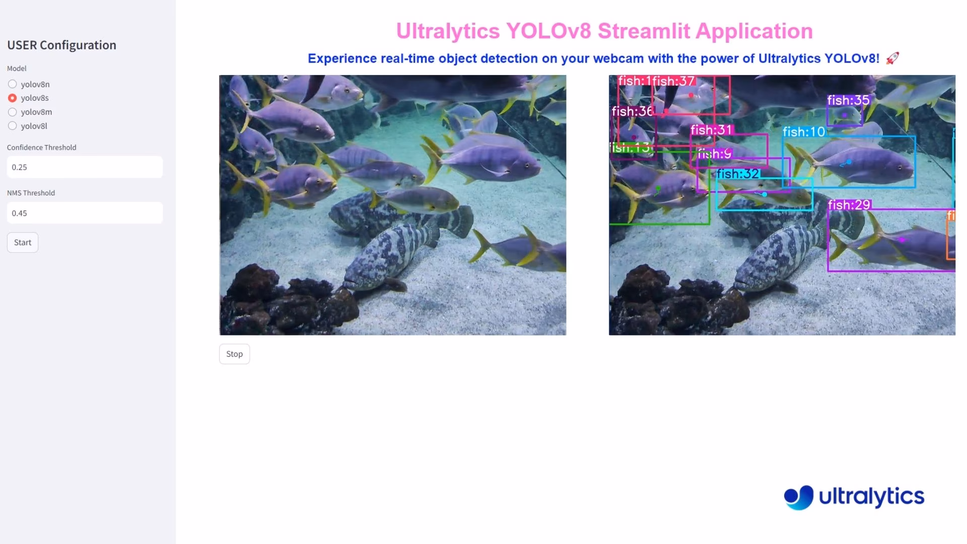 Detecção de Peixes usando Ultralytics YOLO26