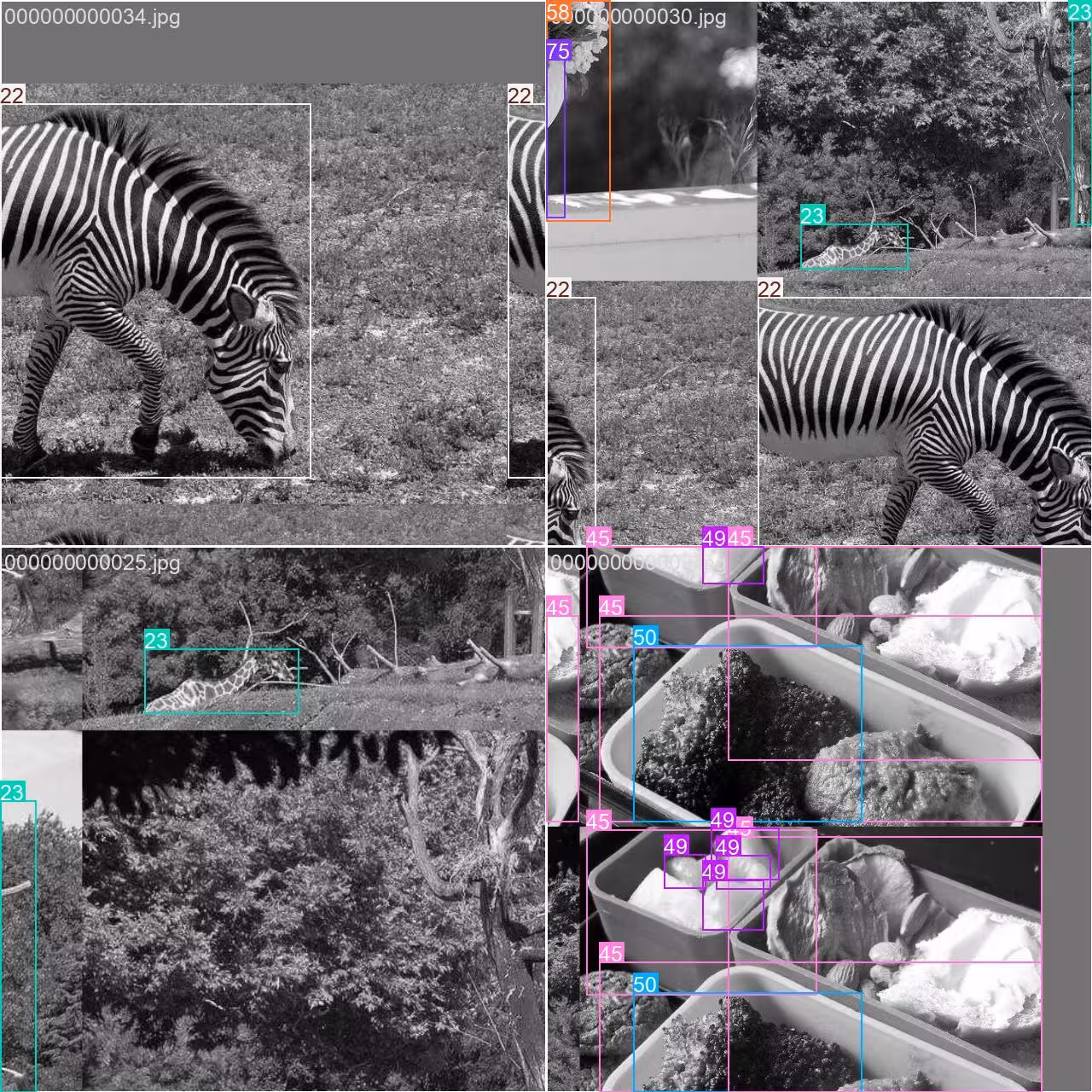 COCO8 数据集马赛克训练批次