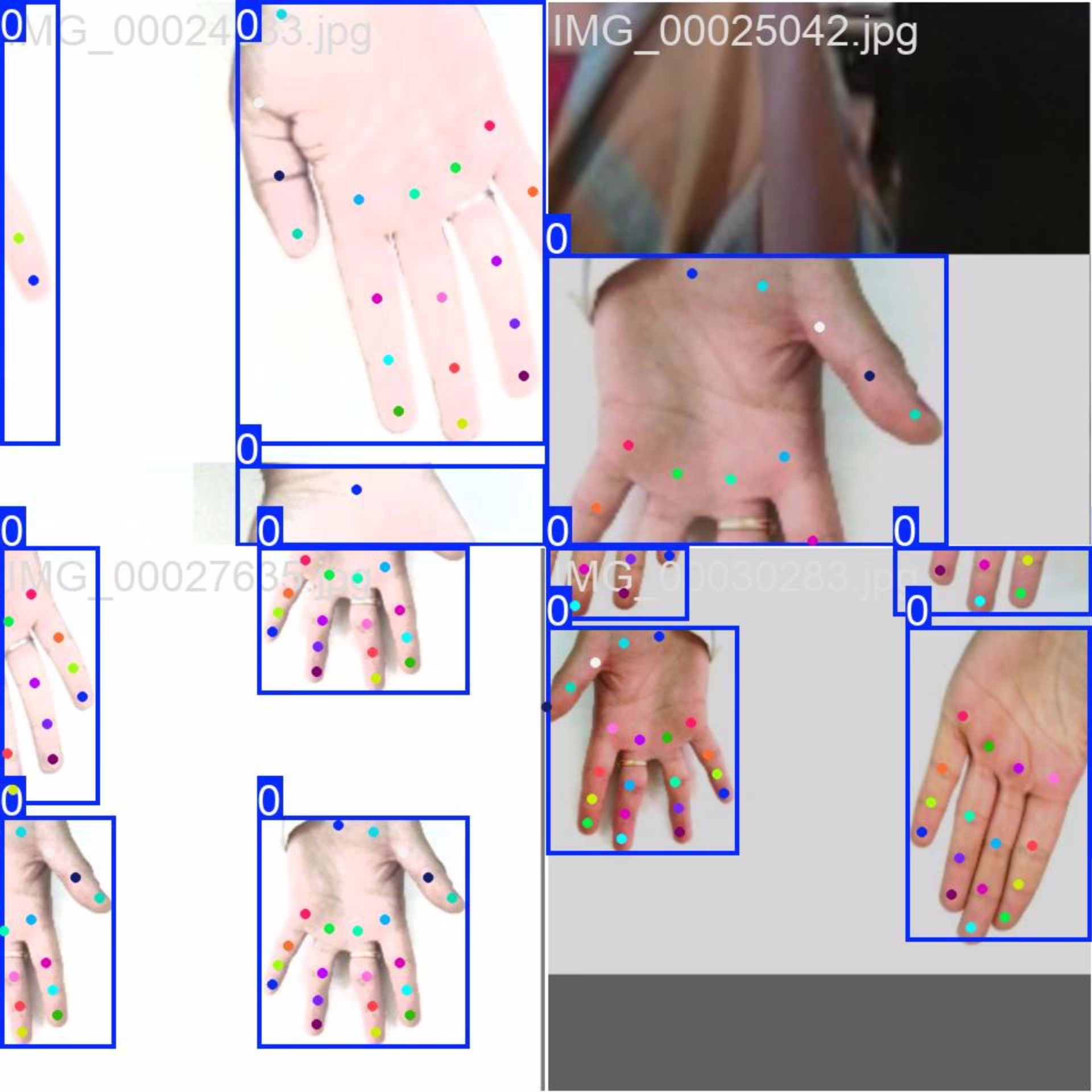 Exemple d'ensemble de données pour l'estimation des points clés de la main
