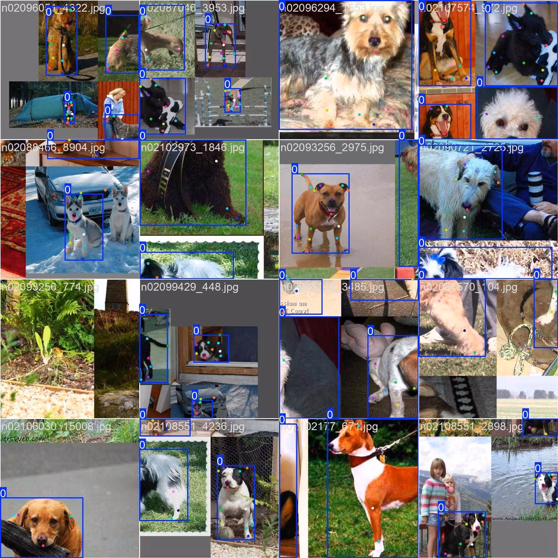 Bộ dữ liệu huấn luyện ghép hình ước tính tư thế chó