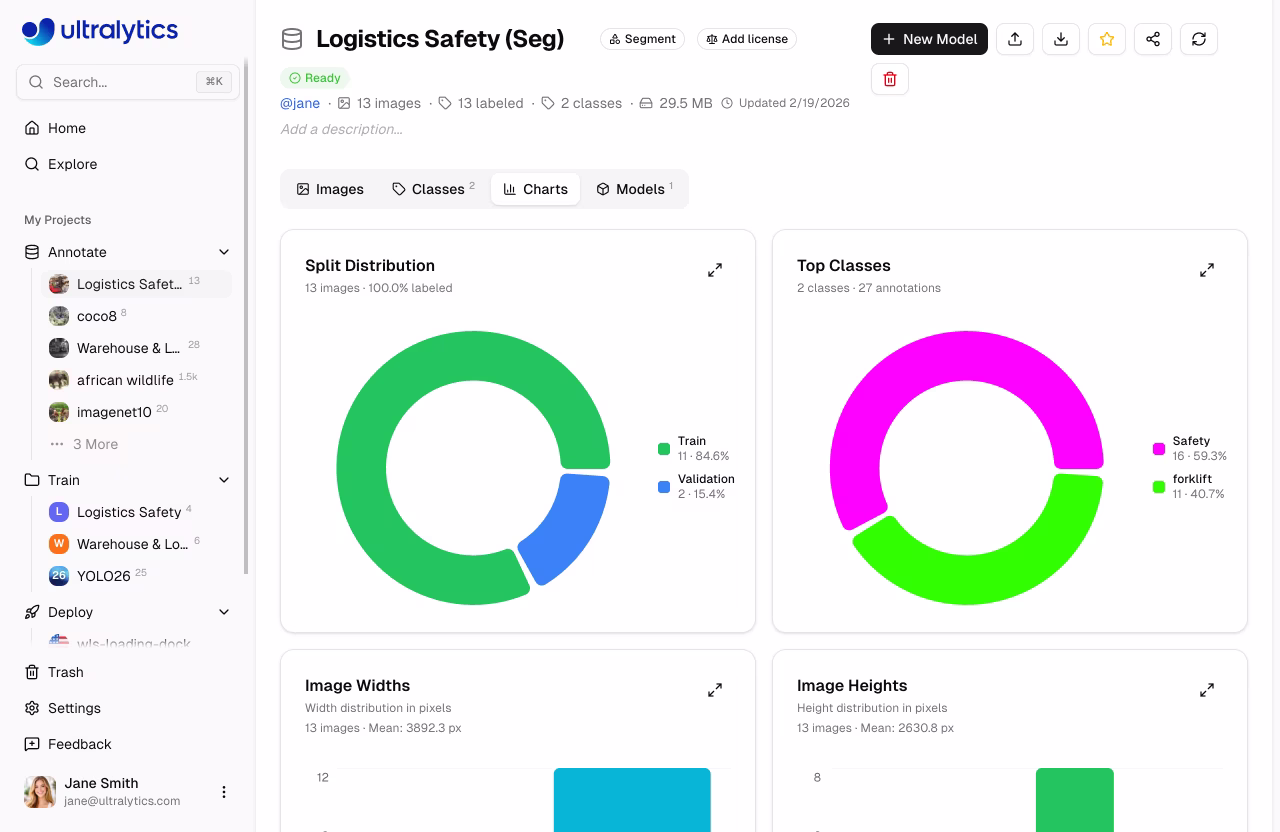 Ultralytics Наборы данных Вкладка «Графики» Статистика Сетка