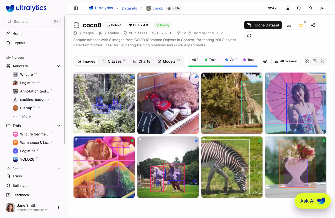 Ultralytics Explore 데이터셋 복제본