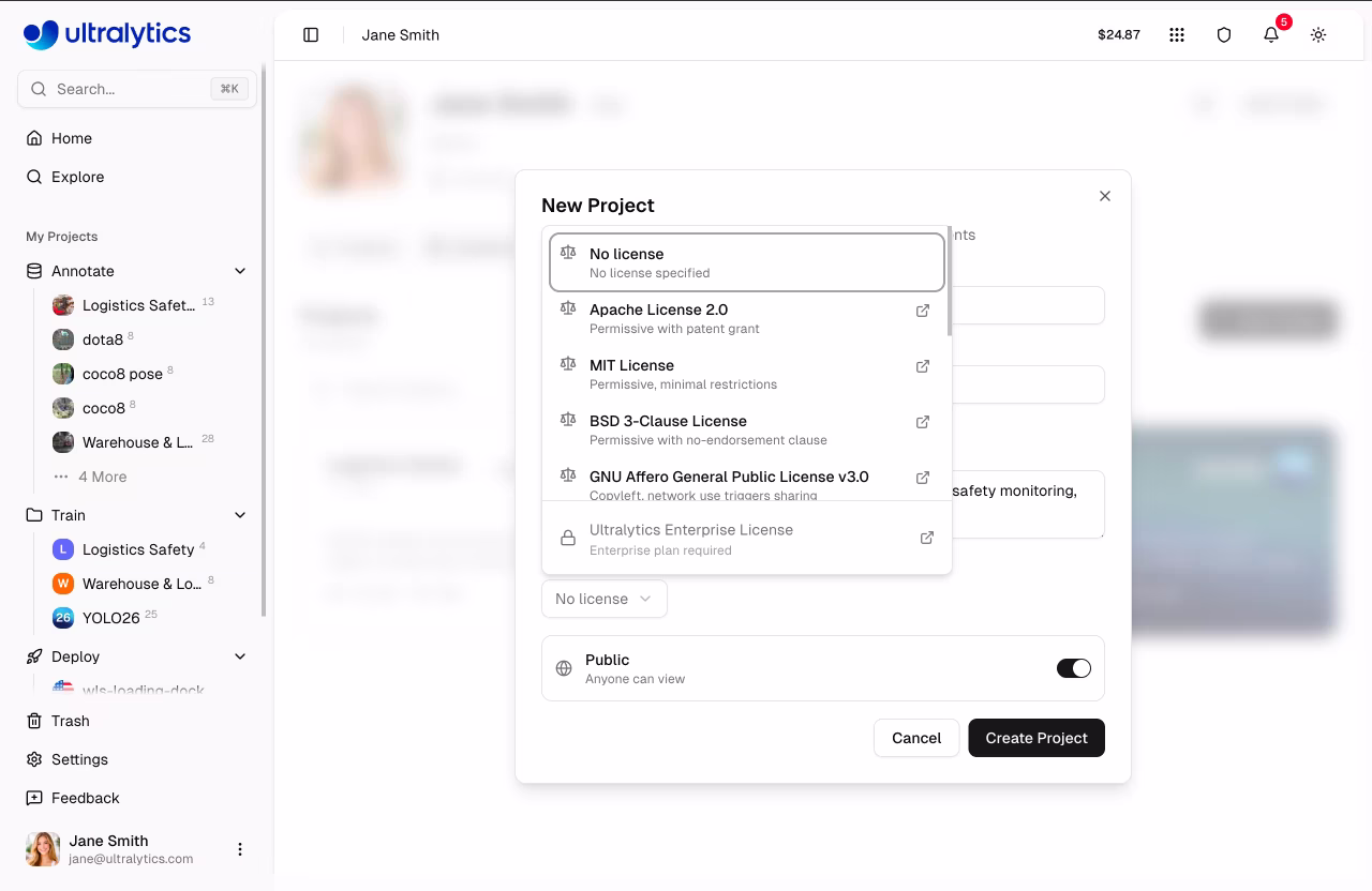 Ultralytics Nova caixa de diálogo do projeto Visibilidade do nome Licença