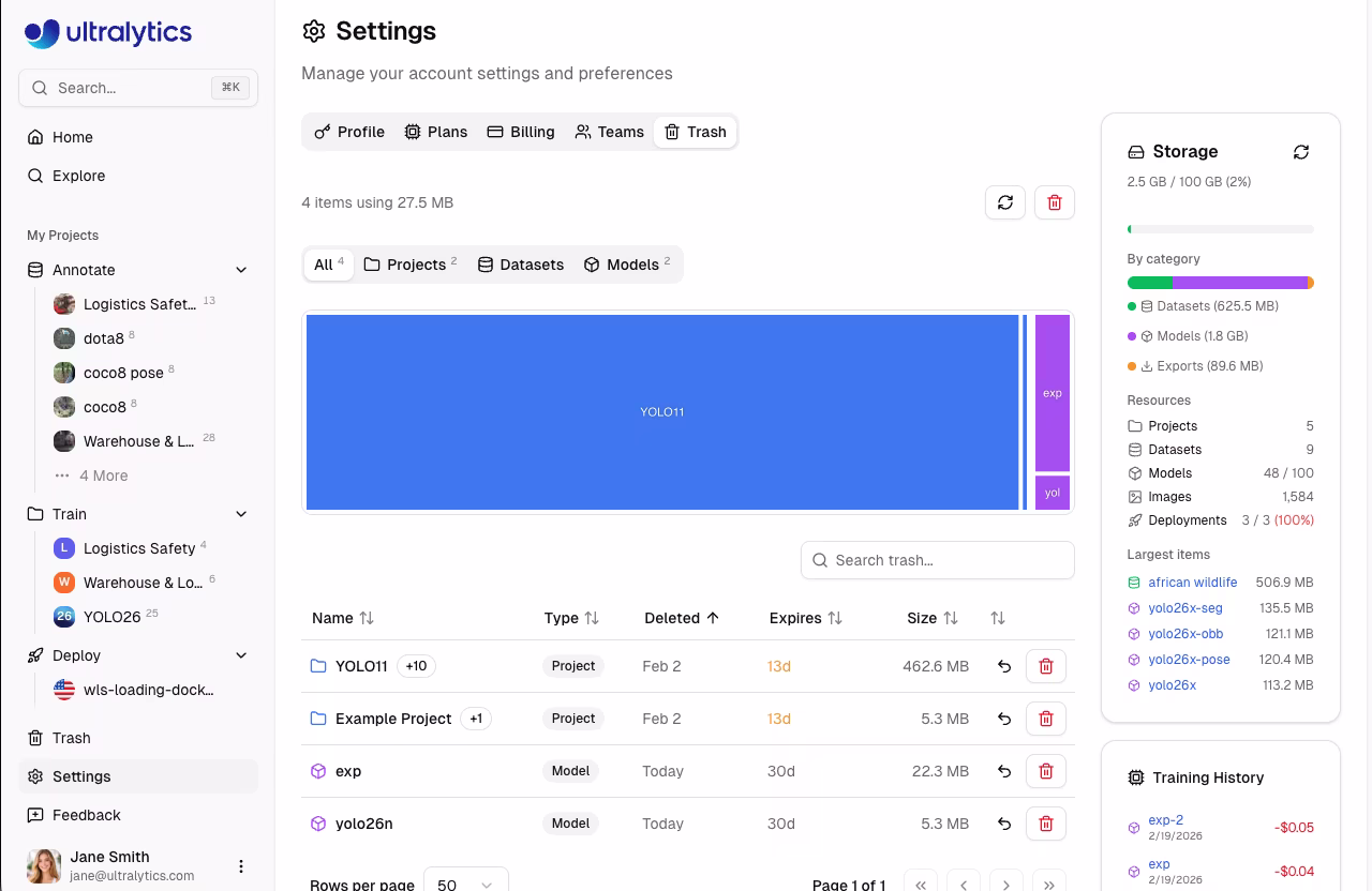 Scheda Impostazioni Ultralytics Scheda Profilo Utilizzo dello spazio di archiviazione