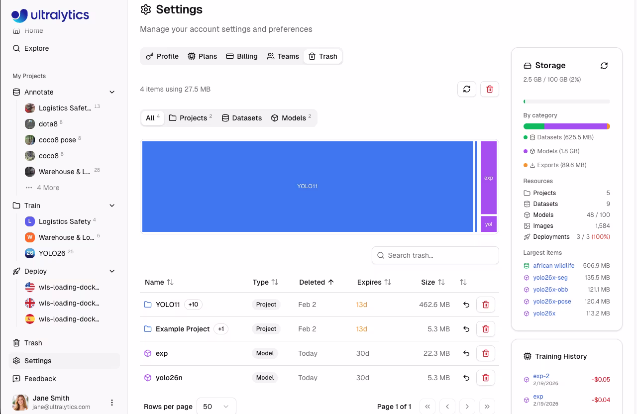 Scheda Cestino delle impostazioni Ultralytics con elementi e mappa ad albero dello spazio di archiviazione