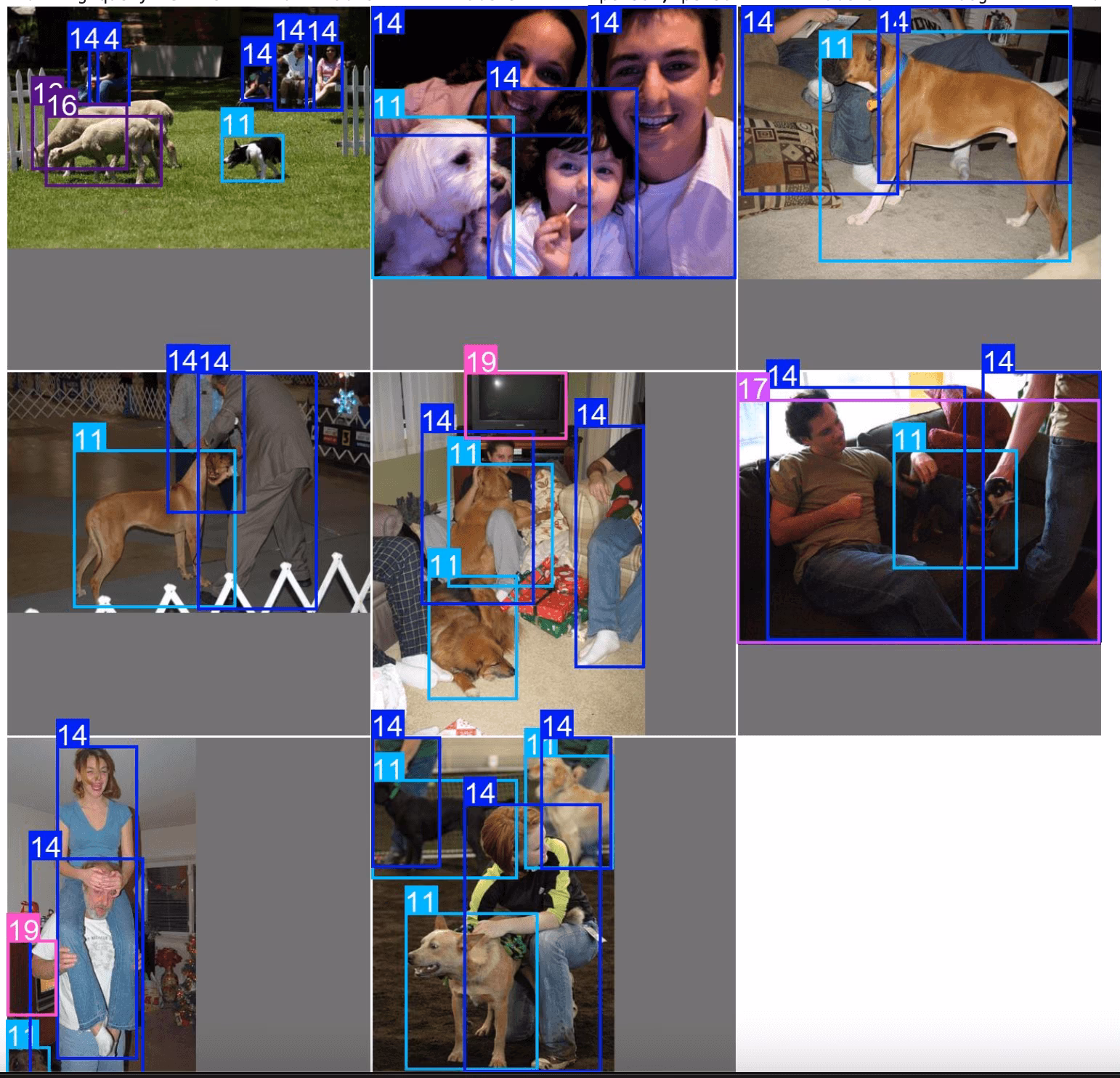 Visualisierung von Bildern, die mit einer SQL-Abfrage übereinstimmen