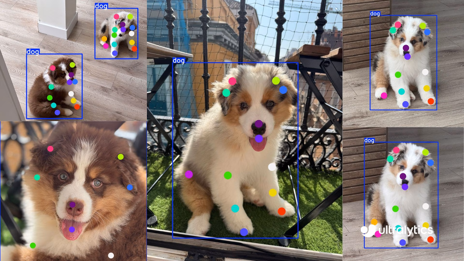 Hình ảnh hiển thị tư thế chó của Ultralytics