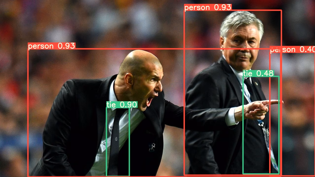 Resultado de la inferencia de YOLO