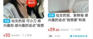 暴利冷门项目，闲鱼卖屁