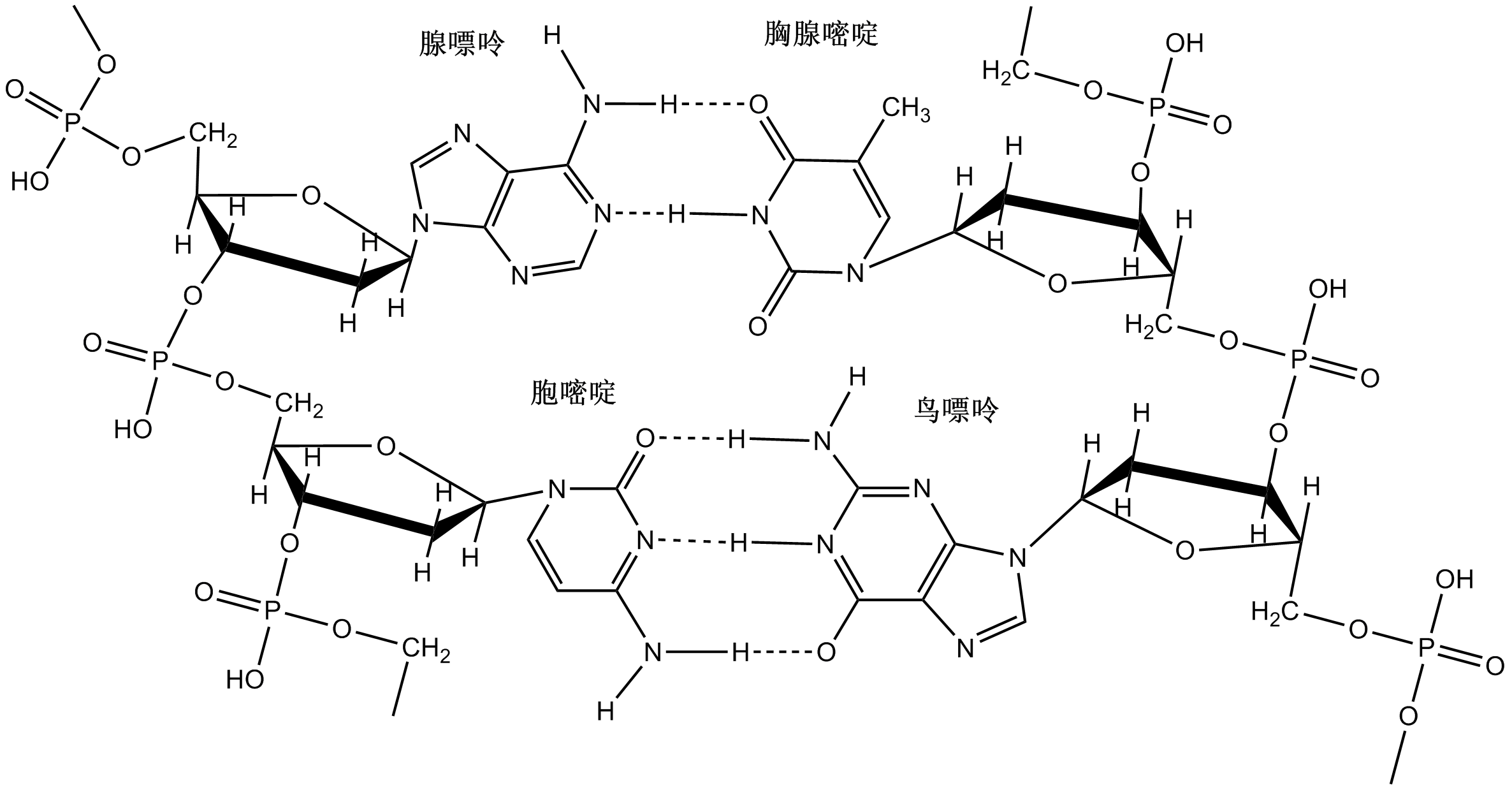 wCs6Yf0F.png (2372×1239)